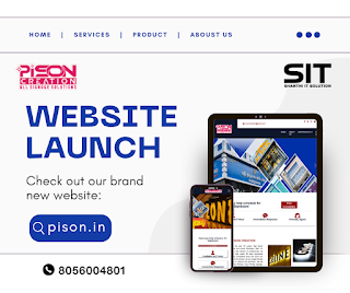 Pison Creation Website Launch