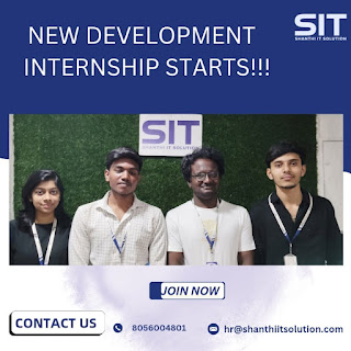 Web Development Internship at Shanthi IT