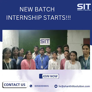 Web Development Internship at Shanthi IT