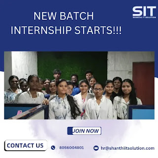 Web Development Internship at Shanthi IT Solution